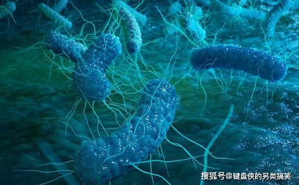 羊放屁能污染空气污染-羊放屁污染空气？环保问题引关注，科学家们正在研究