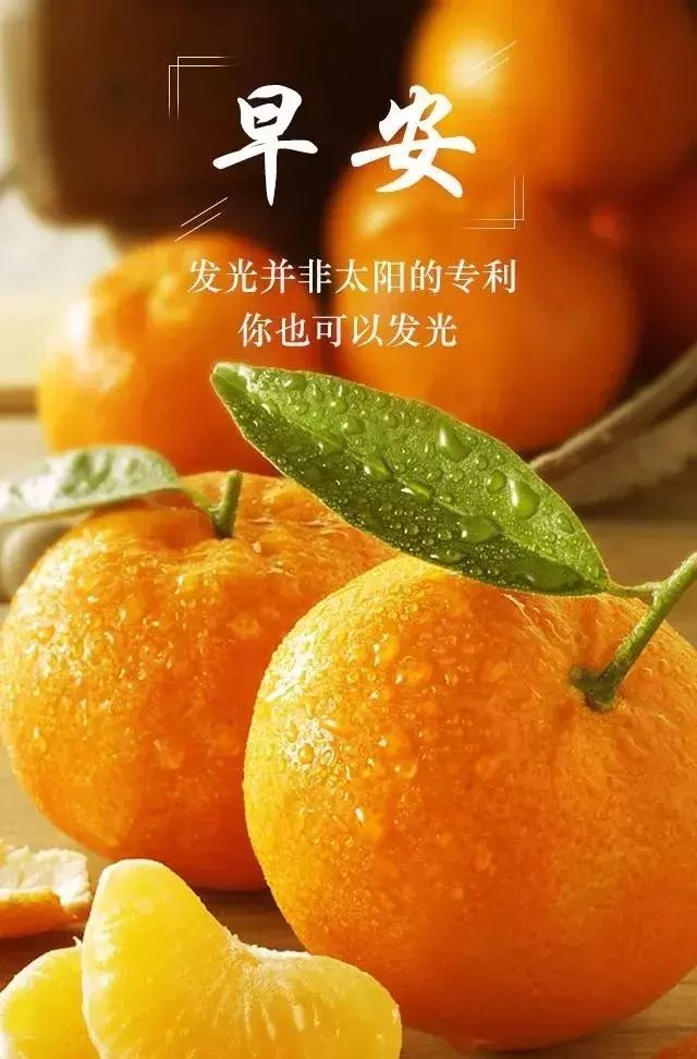 张茂松是谁_张茂松简介_张茂松