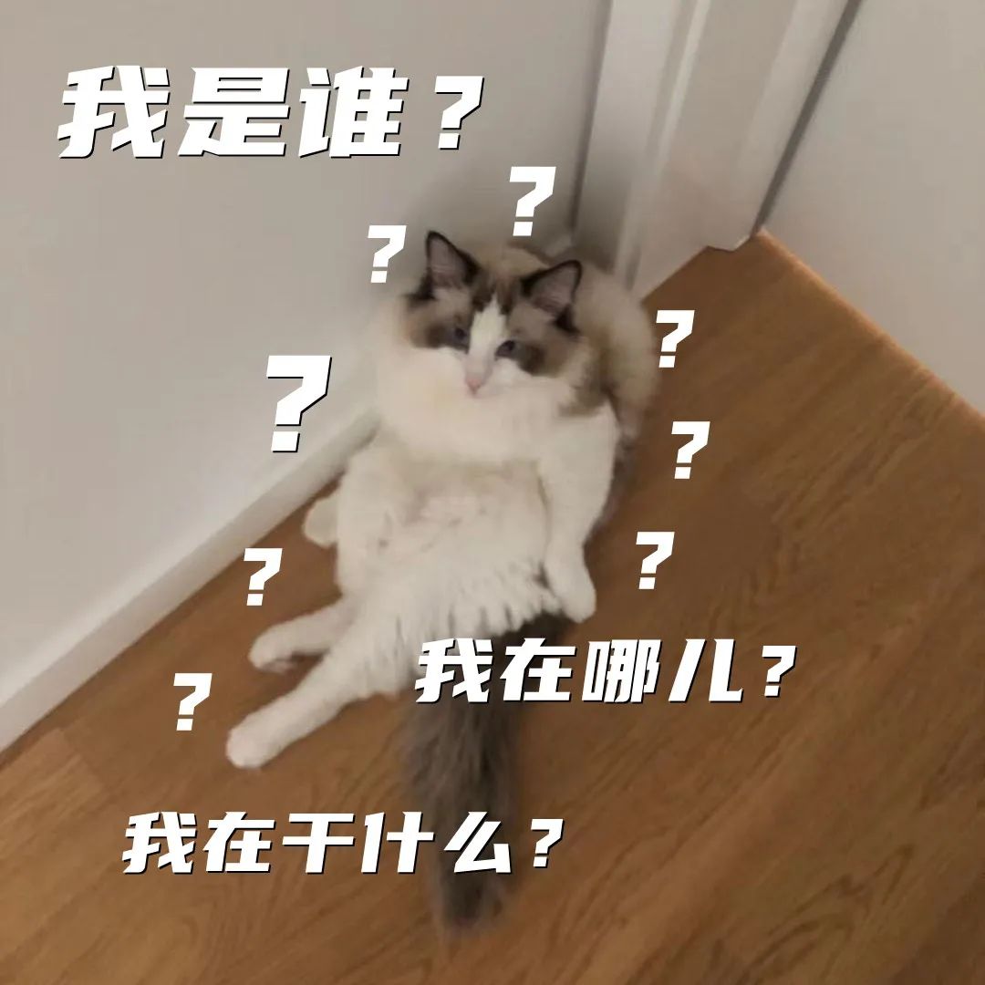没有安全的系统深度解析_安全系统不起作用_我是谁我是谁没有绝对安全的系统