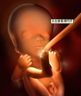 可爱宝宝照片大全可爱_可爱大全宝宝照片头像_可爱大全宝宝照片卡通
