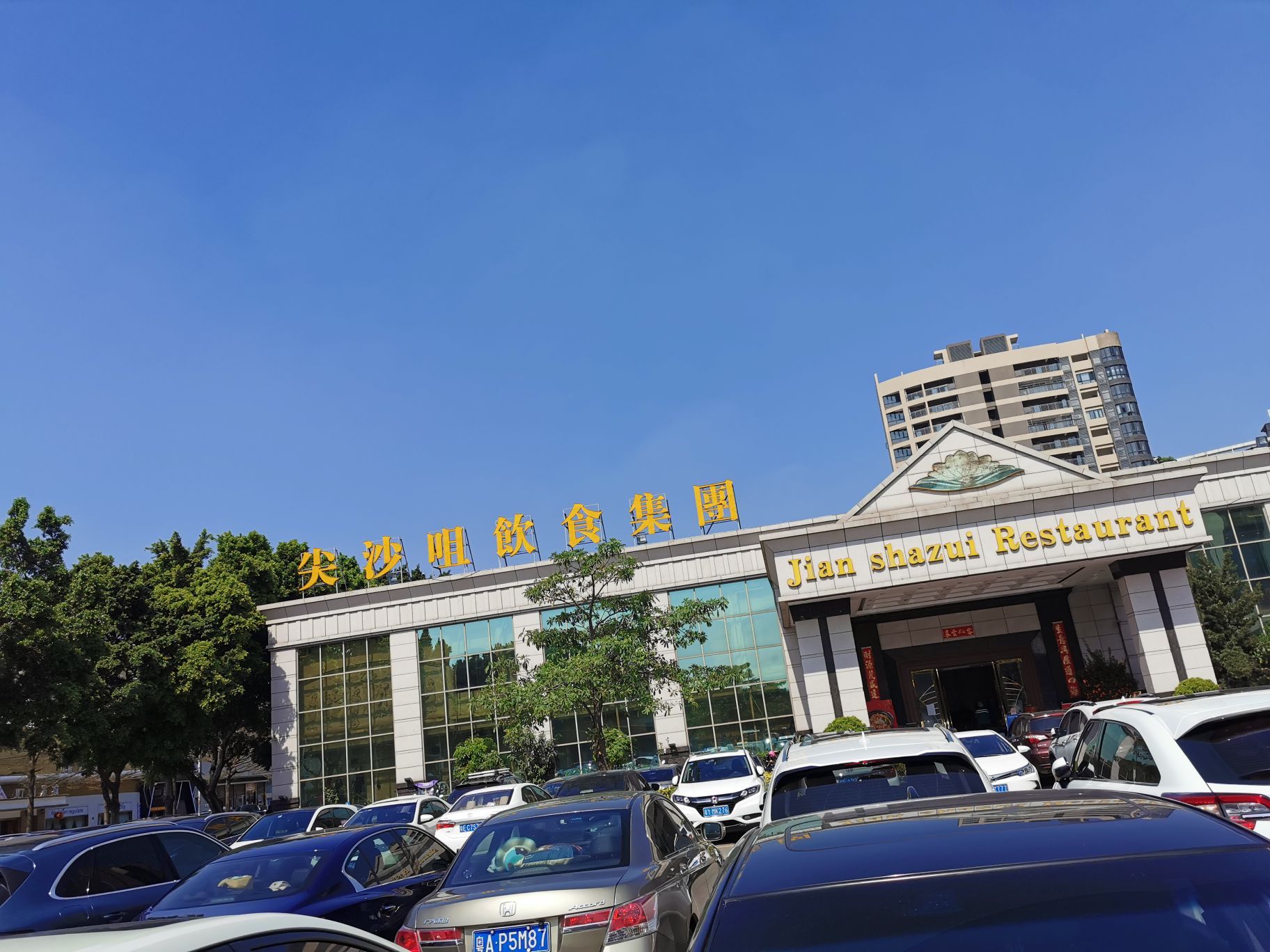 佛山图书馆大沥有哪些书店_佛山图书馆大沥有开放吗_佛山大沥哪里有图书馆