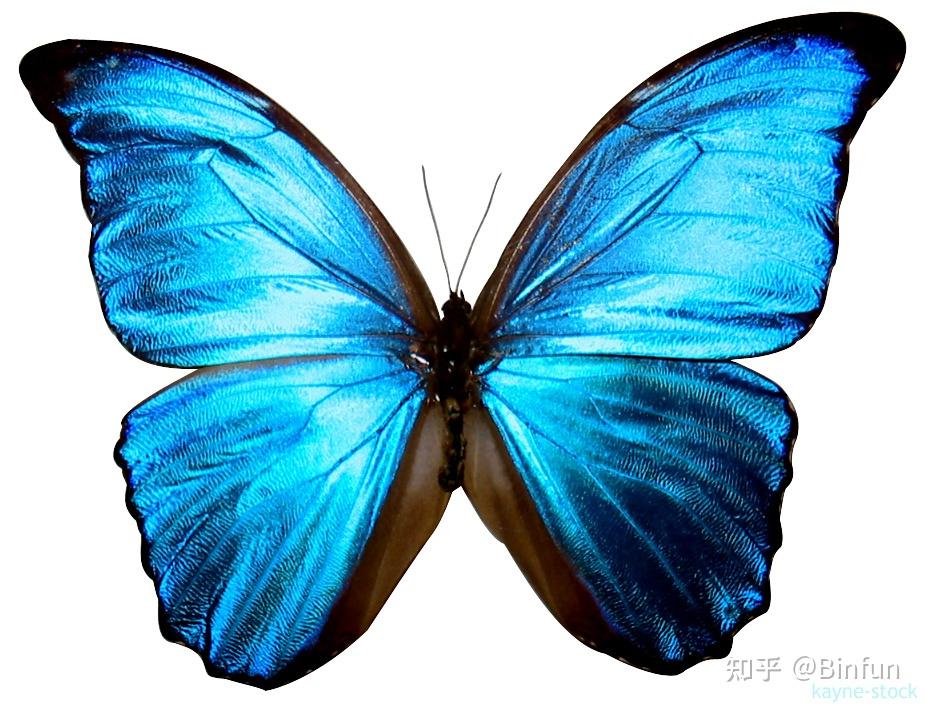 快速傅里叶变换有什么用_傅立叶常用变换对_快速傅立叶变换目的