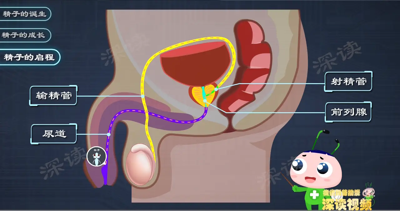 蛋蛋赚钱_蛋蛋赚真的可以提现么_蛋蛋赚钱app