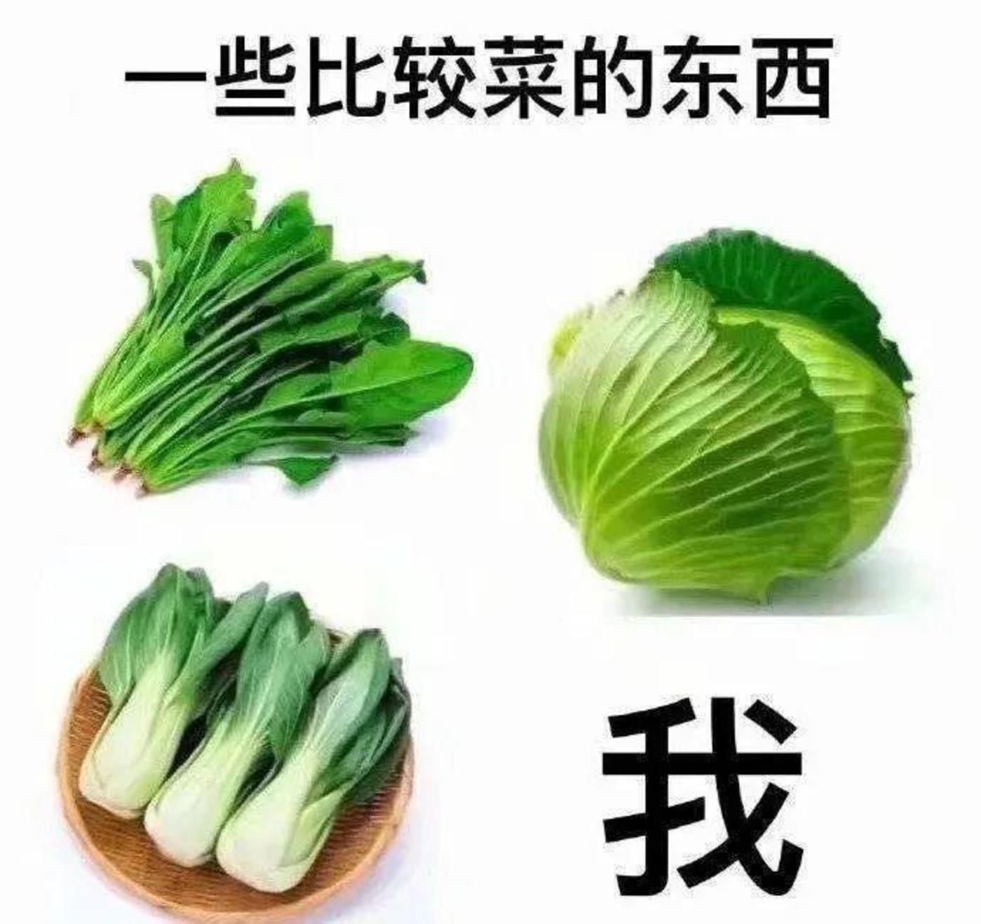 炒股软件是什么时候开始出现的_炒股软件是真是假_最好的炒股软件是什么