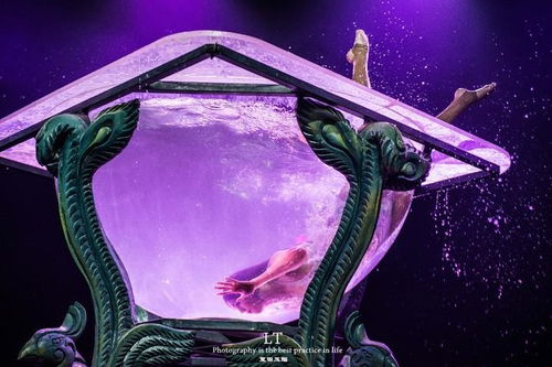 穿越时空之寻,穿越时空找曾子