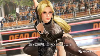 死或生6 doa6 魔改版有什么,探索无限可能的格斗新篇章