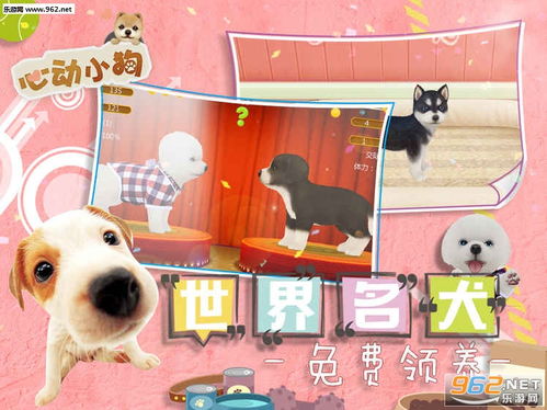 心动小狗3d,氐赗乇爻爻hd