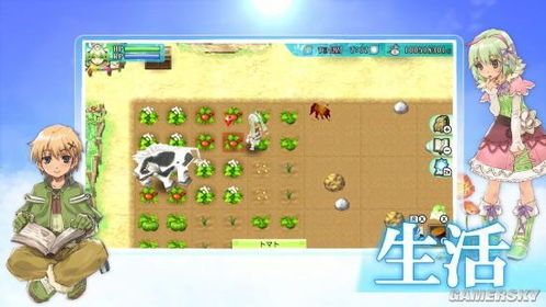 符文工房4护具,符文工房4护具概述