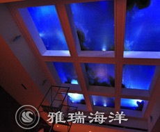 安徽水族馆安装,安徽水族馆全新升级，安装现代化设施提升游客体验