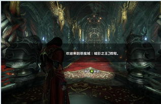 魔城 暗影之王2,游戏背景与概述
