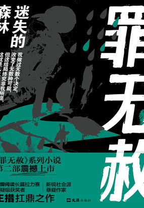 无赦迷失,无赦迷失单职业