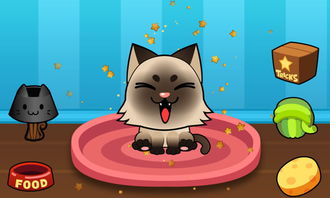 小猫双人游戏