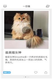 安卓13系统养猫,轻松开启趣味养猫体验