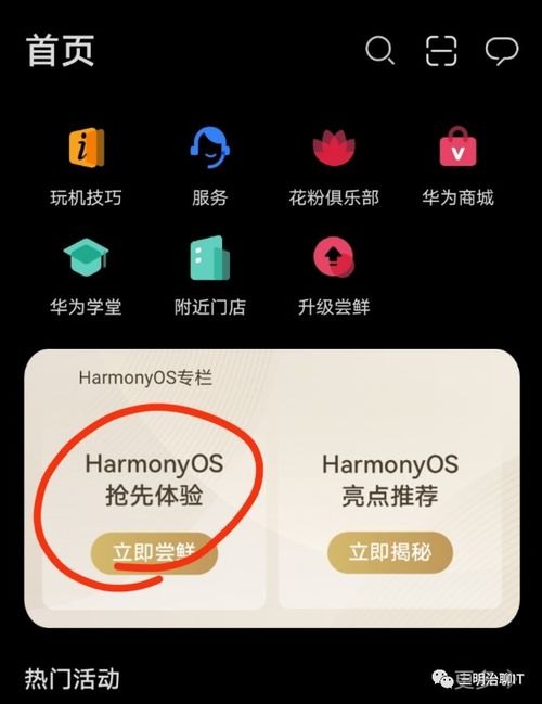 安卓系统更换鸿蒙,系统更迭的全新体验之旅