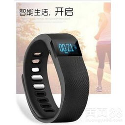 安卓系统 手环吗,功能解析与使用指南