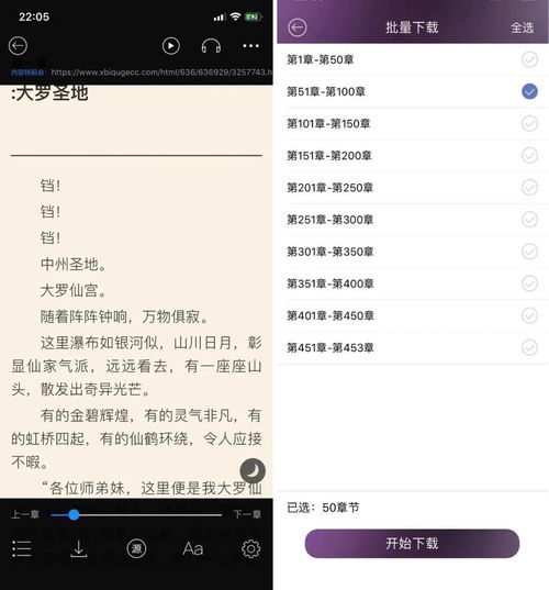 朗读屏幕安卓系统,Android系统屏幕朗读功能详解与操作指南
