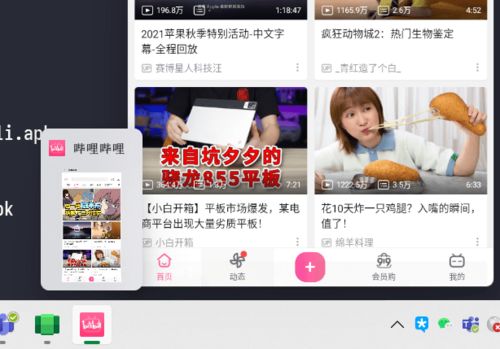 安卓系统的样子,界面设计与功能概览