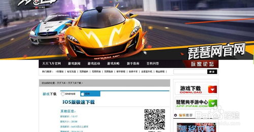 安卓系统飞车直播,畅享速度与激情的虚拟赛道之旅