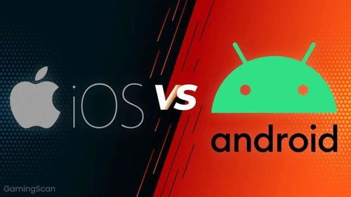 vob在安卓系统,Android系统下VOB文件处理与概述
