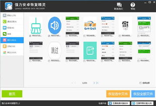 安卓系统转移图片,多种方法助你高效备份与分享
