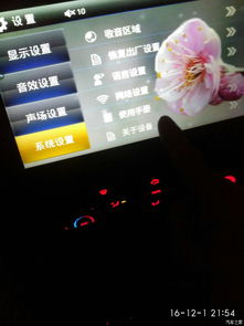 安卓444系统下载,下载与体验概览