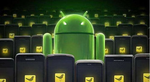 若若安卓系统,若若安卓系统下的智能创作体验