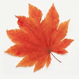枫叶安卓系统表情,展现独特东方韵味的数字表情符号