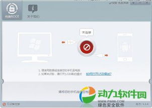 300安卓系统专家,技术革新与未来展望