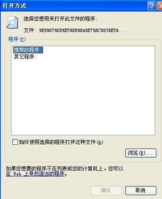 安卓系统图标缓存,优化与清除技巧